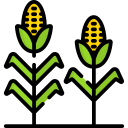 Page Logo